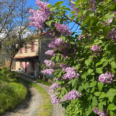 La Lupa E L'Orso Panzió Berceto Kültér fotó