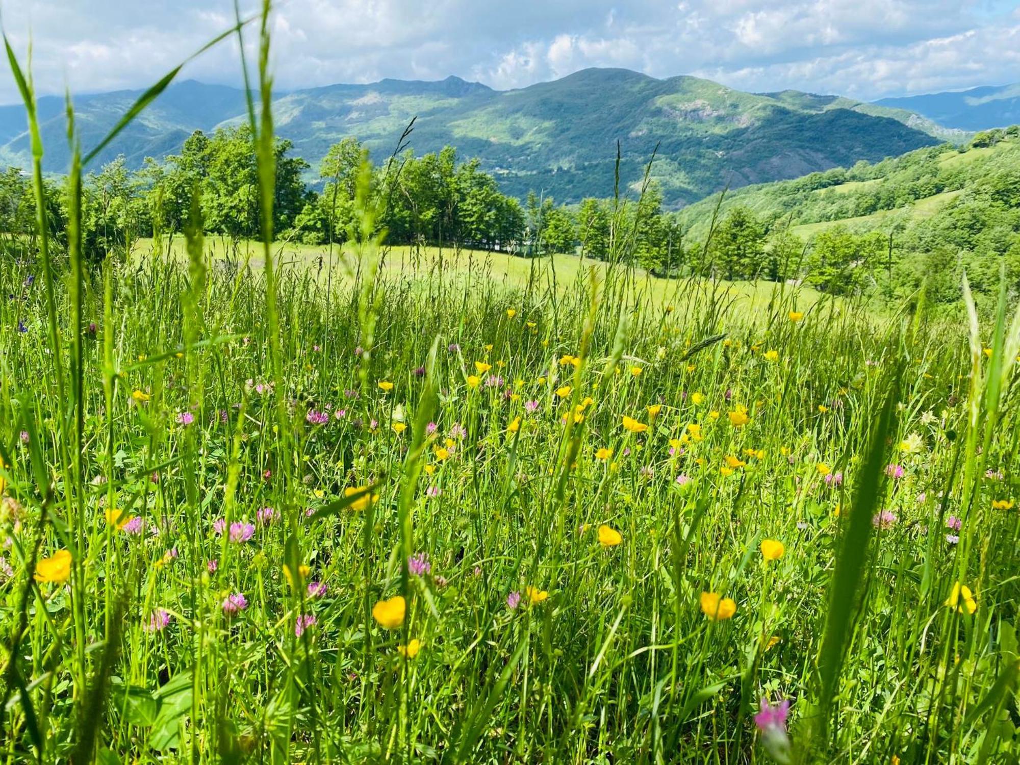 La Lupa E L'Orso Panzió Berceto Kültér fotó