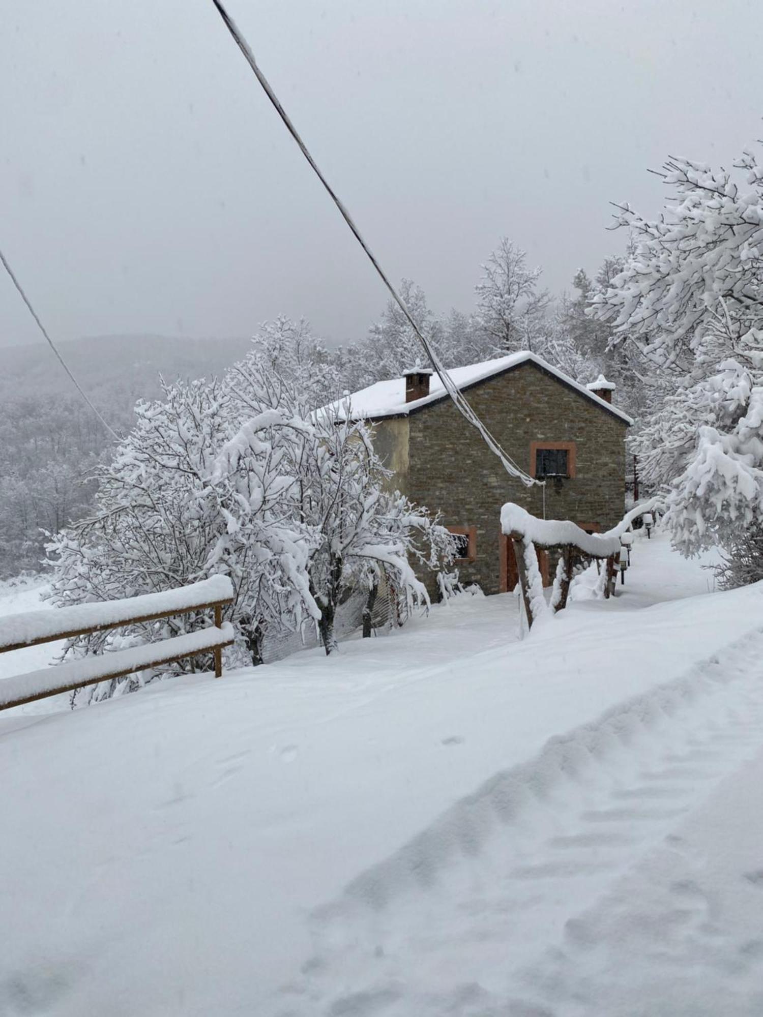 La Lupa E L'Orso Panzió Berceto Kültér fotó